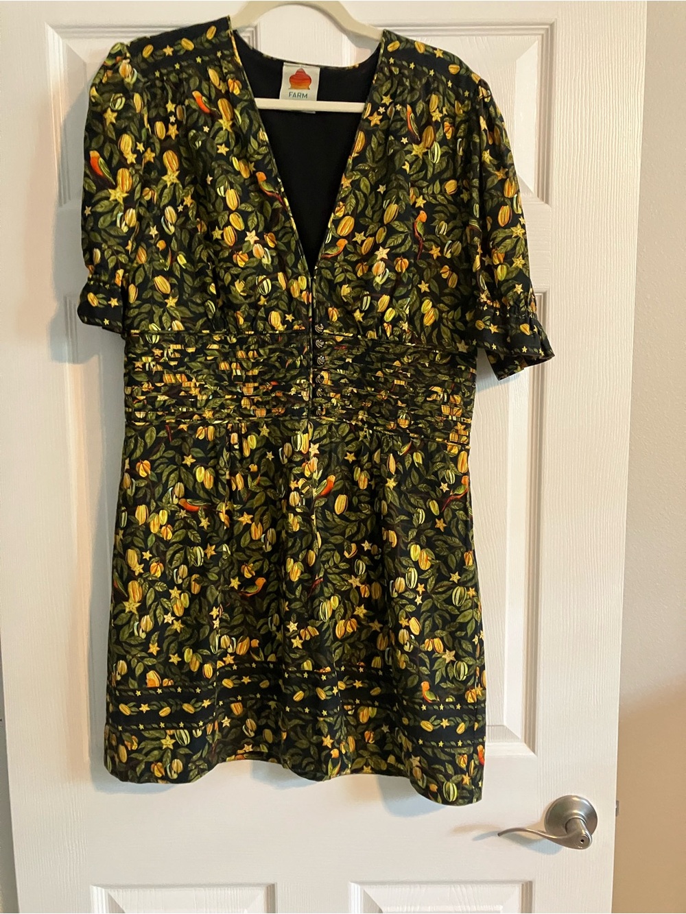 Farm Rio Women’s Dress